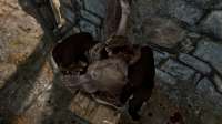 SkyrimSE 2025-05-24 22-05-37.png