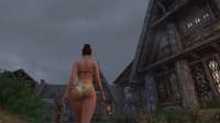 The Elder Scrolls V  Skyrim Special Edition Screenshot 2025.04.17 - 14.50.23.46.png