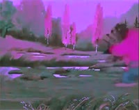 .webm