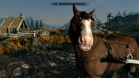 The Elder Scrolls V  Skyrim Special Edition Screenshot 2025.06.11 - 19.09.27.76.png