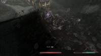 The Elder Scrolls V  Skyrim Special Edition 2025.02.10 - 00.27.16.02.webm
