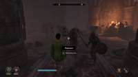 The Elder Scrolls IV  Oblivion Remastered Screenshot 2025.05.24 - 20.36.18.53.png