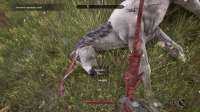 OblivionRemastered-Win64-Shipping 2025-05-27 21-55-54-090.jpg
