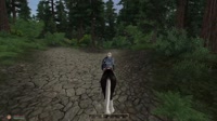 Elder Scrolls IV  Oblivion 2025.05.29 - 18.18.41.04.mp4