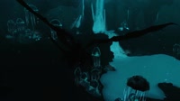 Skyrim 2025.05.29 - 00.38.18.02.mp4