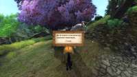 Elder Scrolls IV  Oblivion Screenshot 2025.05.30 - 23.13.43.45.png