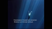 17539678188491.webm