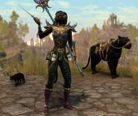 Elder Scrolls  Online Screenshot 2025.06.26 - 12.15.38.78.png
