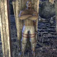 ON-npc-SkordotheKnife(TowerofLies).jpg