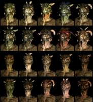 SR-race-Argonian.jpg