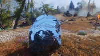 The Elder Scrolls V  Skyrim Special Edition 2025.07.04 - 15.34.10.01.webm