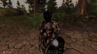 Elder Scrolls IV  Oblivion Screenshot 2025.08.25 - 12.39.20.25.png