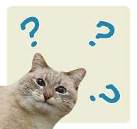 Jazzinquestion.jpeg