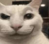 1694177554451.gif