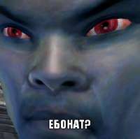bgMpgREKsqs.jpg