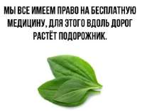 п.jpg