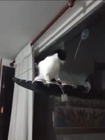 1697403980283.mp4