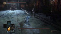 tetert.mp4