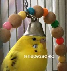 я перезвоню.png