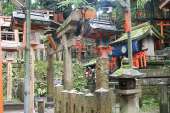 DSC07482a.jpg