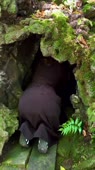 ALINA RIN-ра444ком.mp4