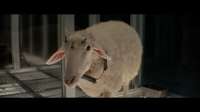 Alien Earth Official Trailer FX.00013816.Still013.jpg
