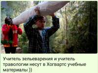 Без имени.jpg