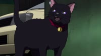 1666630706450.webm