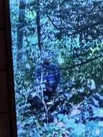 dude-just-chilling-v0-gn7sgzdegn1f1.jpg