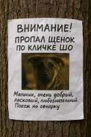 IMG20250601150658885.jpg