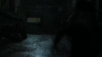 17470484696240.mp4