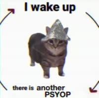 17211422869830.mp4