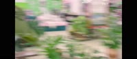 Звоните ДиКаприо.mp4