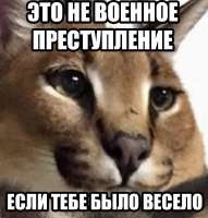 16399073307321.jpg