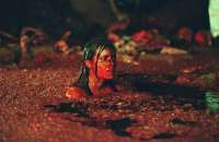 descent-shauna.webp