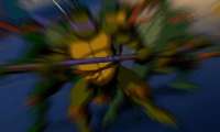Untitled.gif
