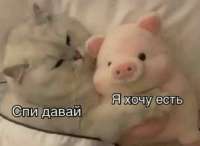 17357298013841.jpg