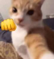 17042273882110.jpg