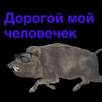 1000097713.webp
