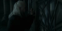 17398048684520.webm