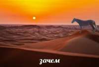 IMG20250802152250780.jpg