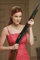 24.webp