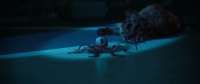 Alien.Earth.S01E02.2025.WEB-DLRip.HDRezka.Medik.avi20250815132813.030.jpg