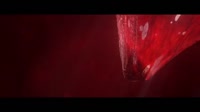 7646574.mp4