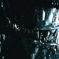1755465904225.gif