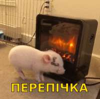1645997195661.png