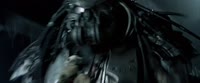 AvP.mp4