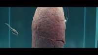 bandicam 2025-08-20 12-48-16-932.jpg