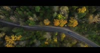 VID20250828223731350.mp4