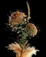 artificial-bloom-shy-studio-7.jpg